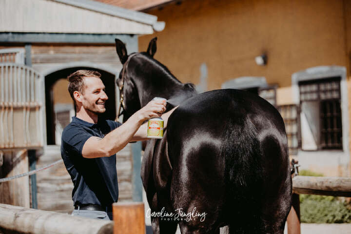 ZEDAN Insektenschutz Sprühlotion extra stark 500 ml